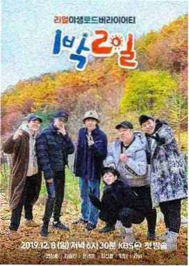 先锋影音官网 向往的生活